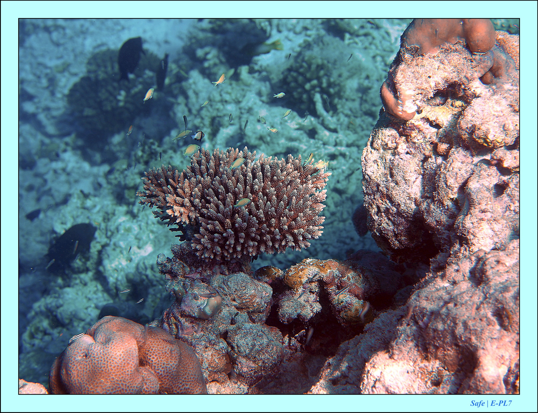 2023 - 07 - Sandies Bathala - 226